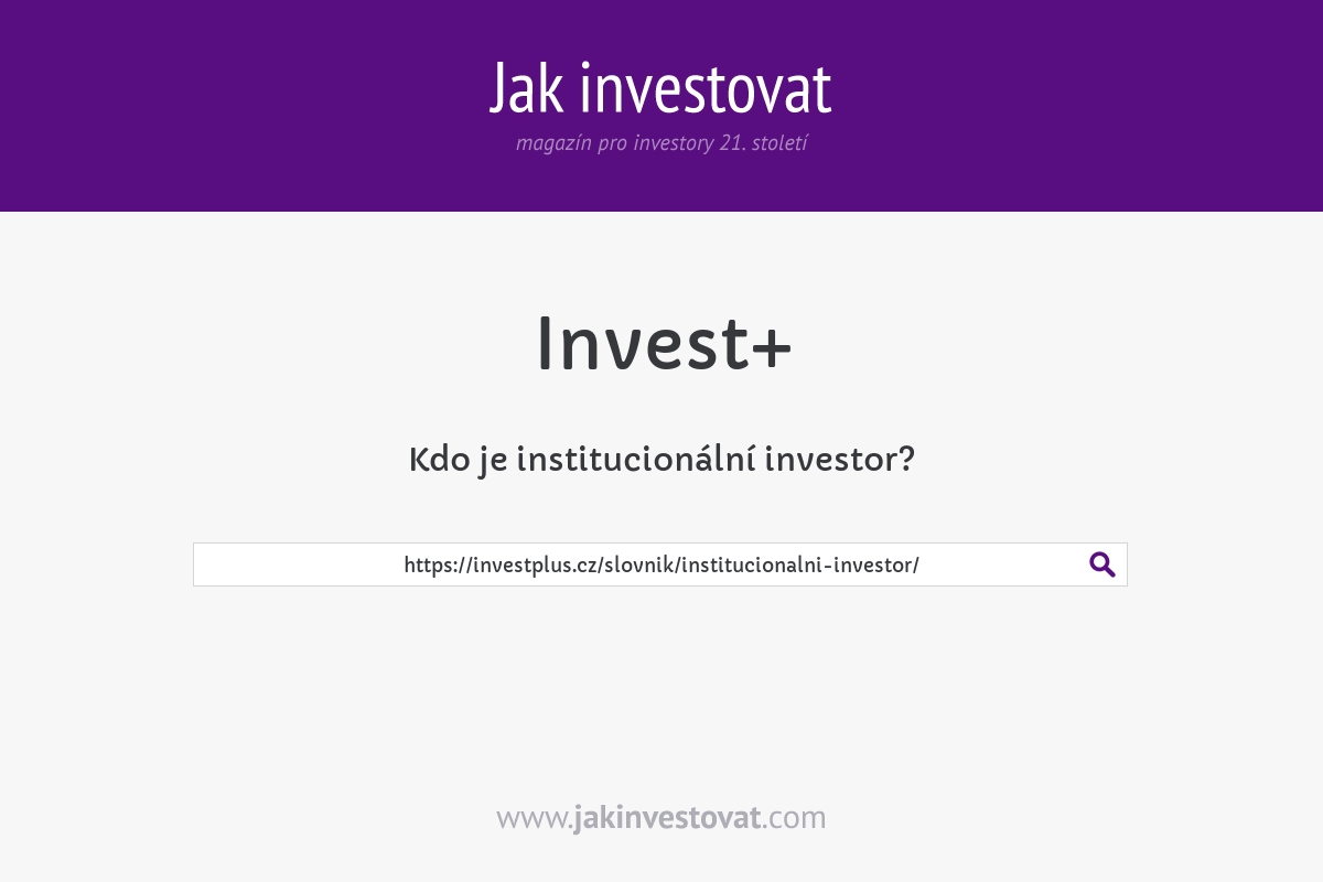 Kdo je institucionální investor?